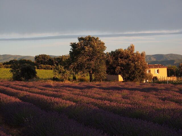 provence