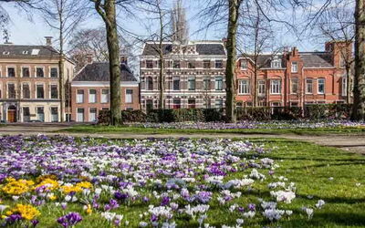 Location de vacances à Groningue