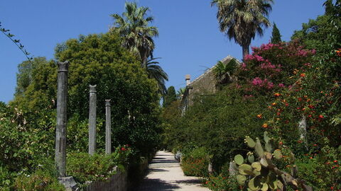 Trsteno Arboretum, plantes