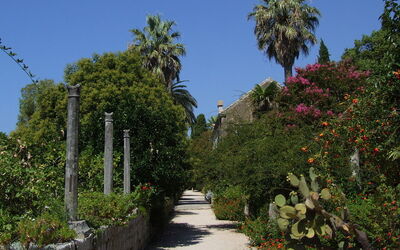 Trsteno Arboretum, plantes