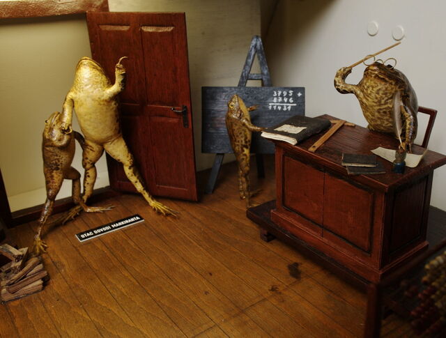 Froggyland, scène de classe