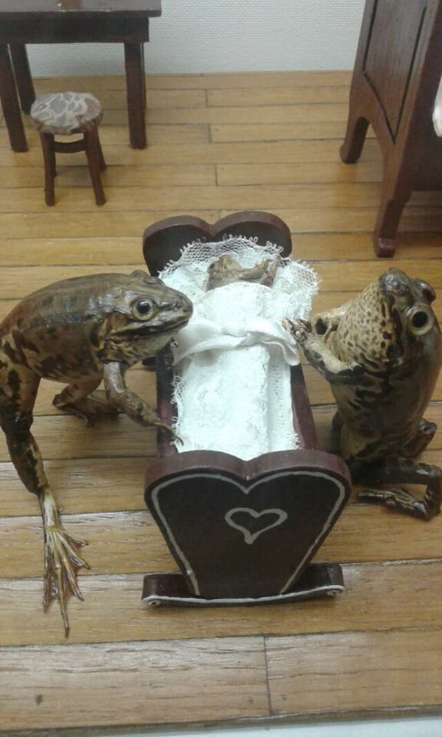 Froggyland, scène de crèche