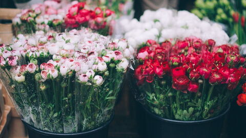 Cours Saleya, fleurs