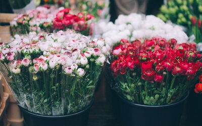 Cours Saleya, fleurs