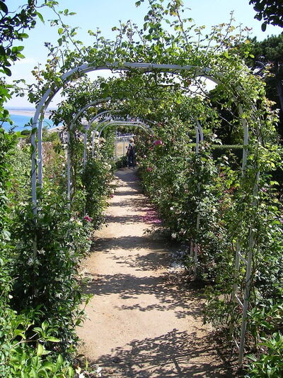 Jardin, Musée Christian Dior