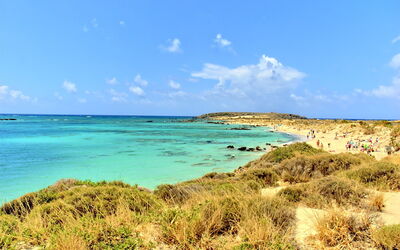 Plage d'Elafonisi, herbes