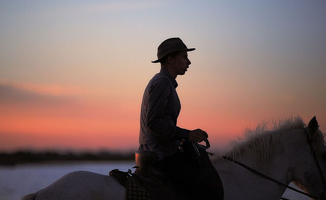Un cow-boy en Camargue