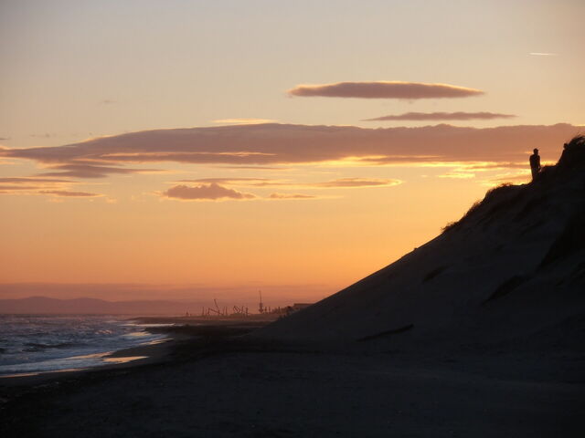 Une plage en Camargue