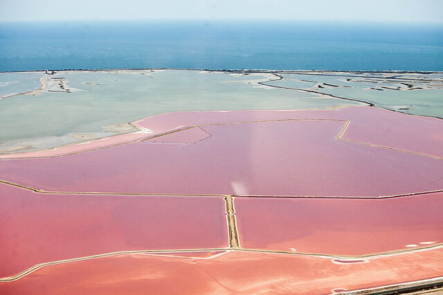 Salines de Camargue