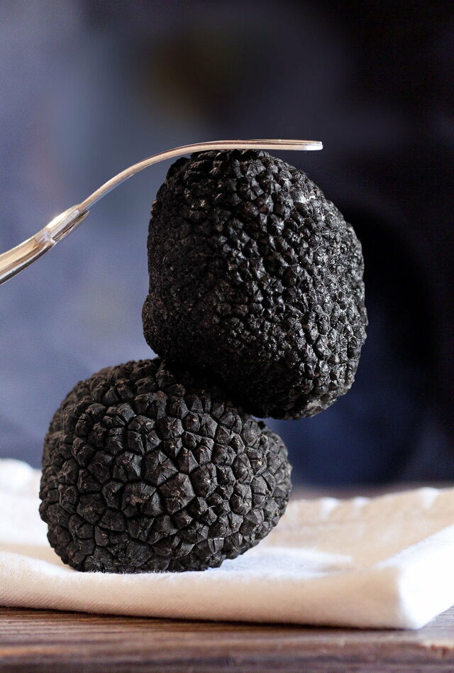 truffes