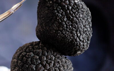 truffes