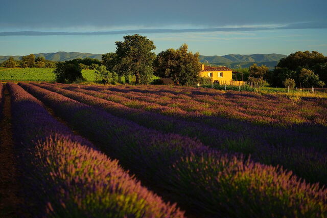 Paysage de Provence