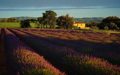 Paysage de Provence