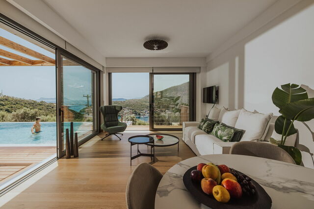 Villa Sivota, salon