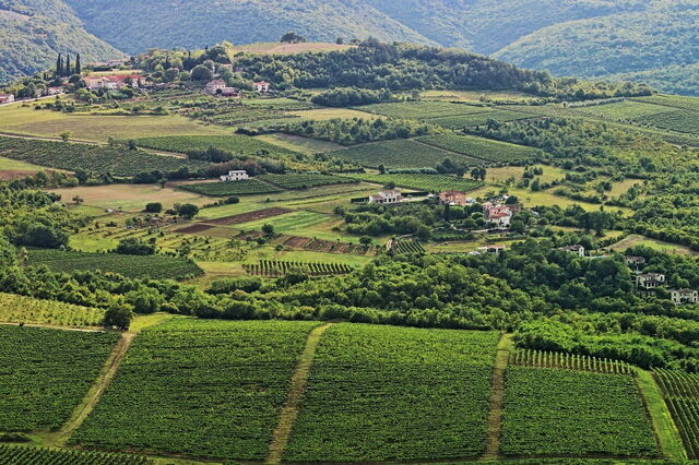 Paysages luxuriants de Croatie