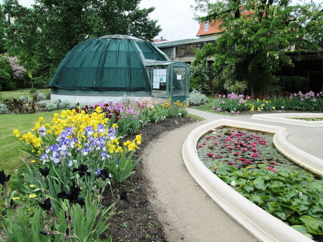 fleurs zagreb