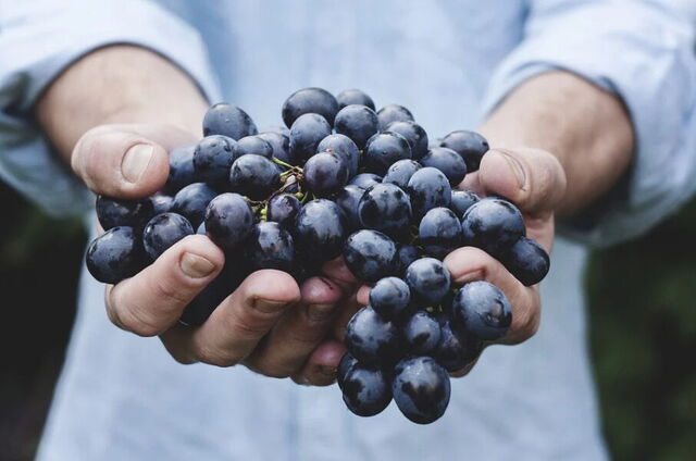 les raisins