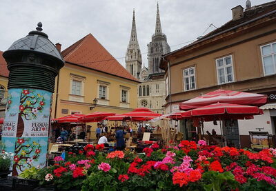 Marché de Dolac, fleurs