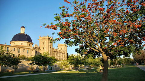 Musée des Beaux-Arts de Valence