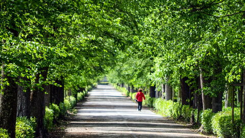 Cascine Parc