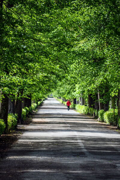Cascine Parc