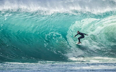surfing