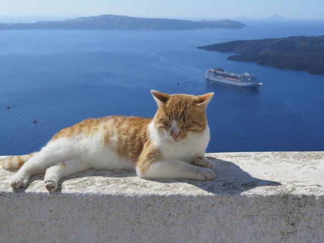 chat