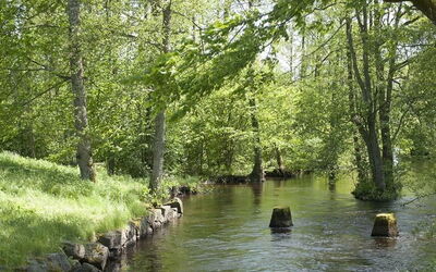 Locations de vacances en Kronoberg