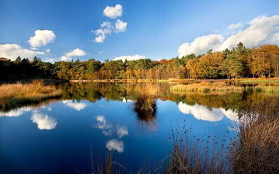 Locations de vacances à Drenthe