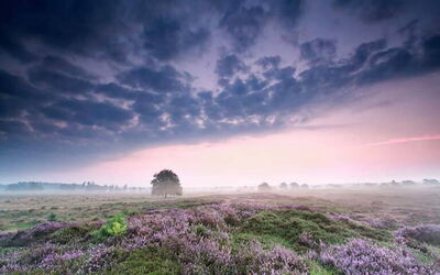 Locations de vacances à Drenthe