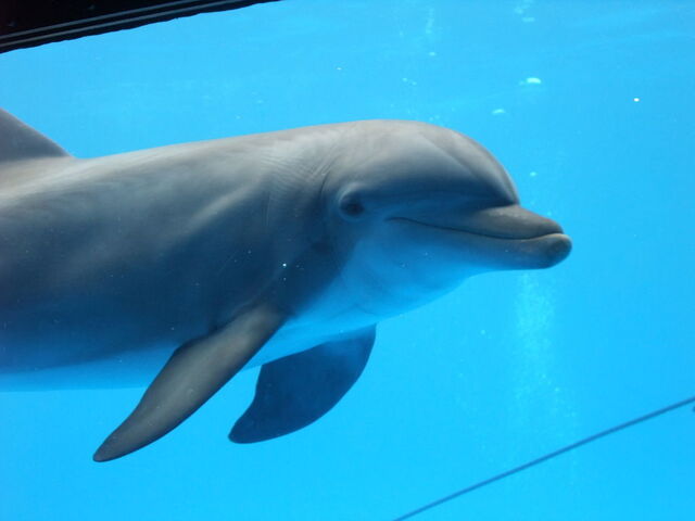 zoo