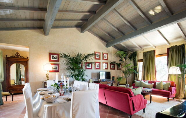 Villa del Sirio, salon