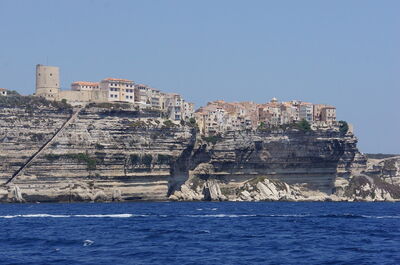 bonifacio