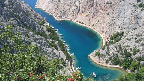 Zavratnica baie