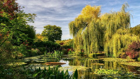 Les jardins de Monet
