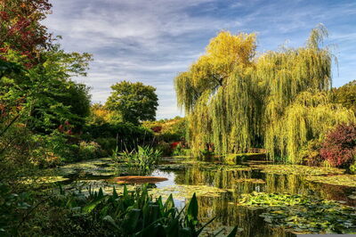 Les jardins de Monet