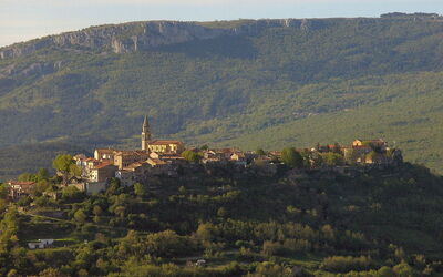 buzet