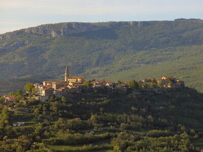 buzet