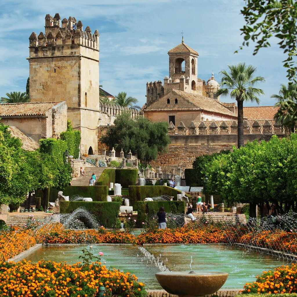 Colette Fitzpatrick