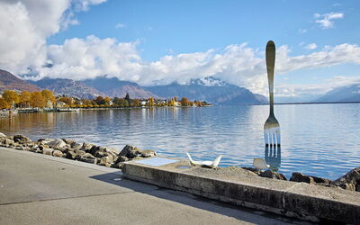 Locations de vacances dans le canton de Vaud