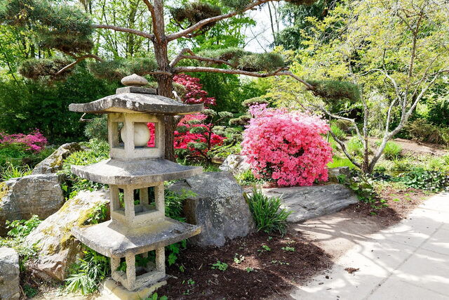 Jardin Japonais de l'Île de Versailles, plantes