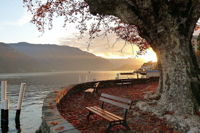 Villa Carlotta, au bord du lac