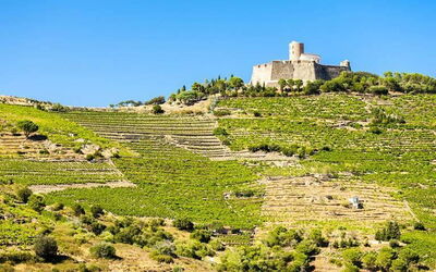 Locations de Vacances en Languedoc-Roussillon