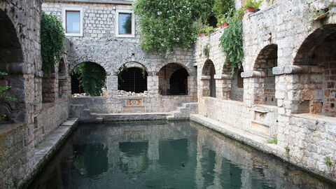 Fishpond