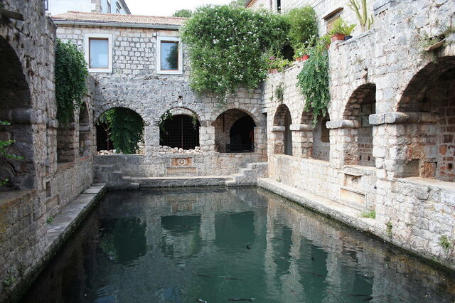 Fishpond
