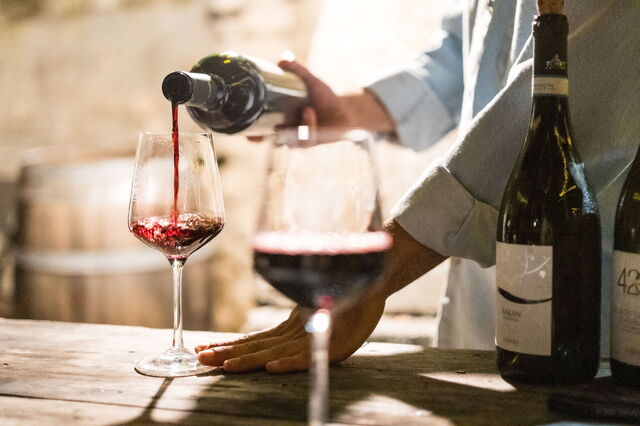 dégustation de vins