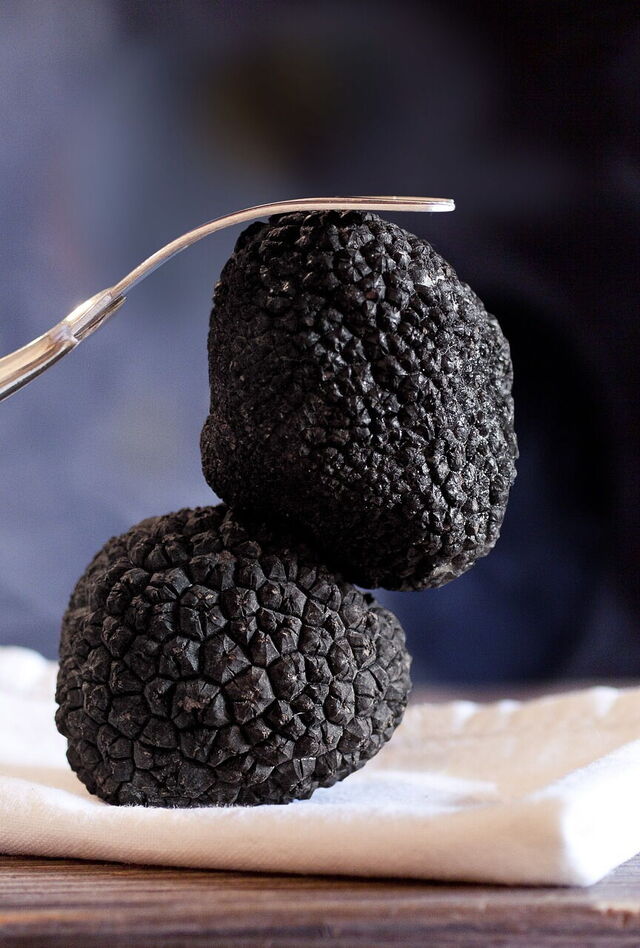 truffes