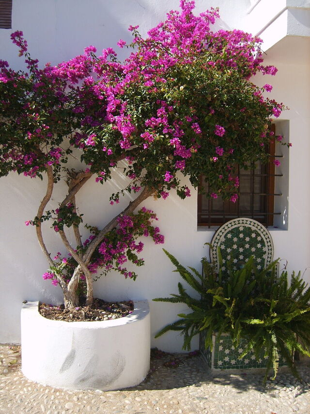 Jolies vues dans les rues d'Altea