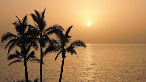Une plage d'hiver
