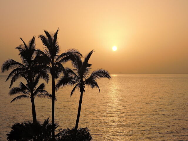 Une plage d'hiver